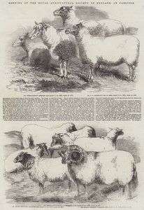 Meeting of the Royal Agricultural Society of England, at Carlisle